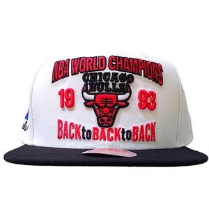 Mitchell & Ness Chicago Bulls 1993 Back to Back Championship 🏆 Premium 🏀
